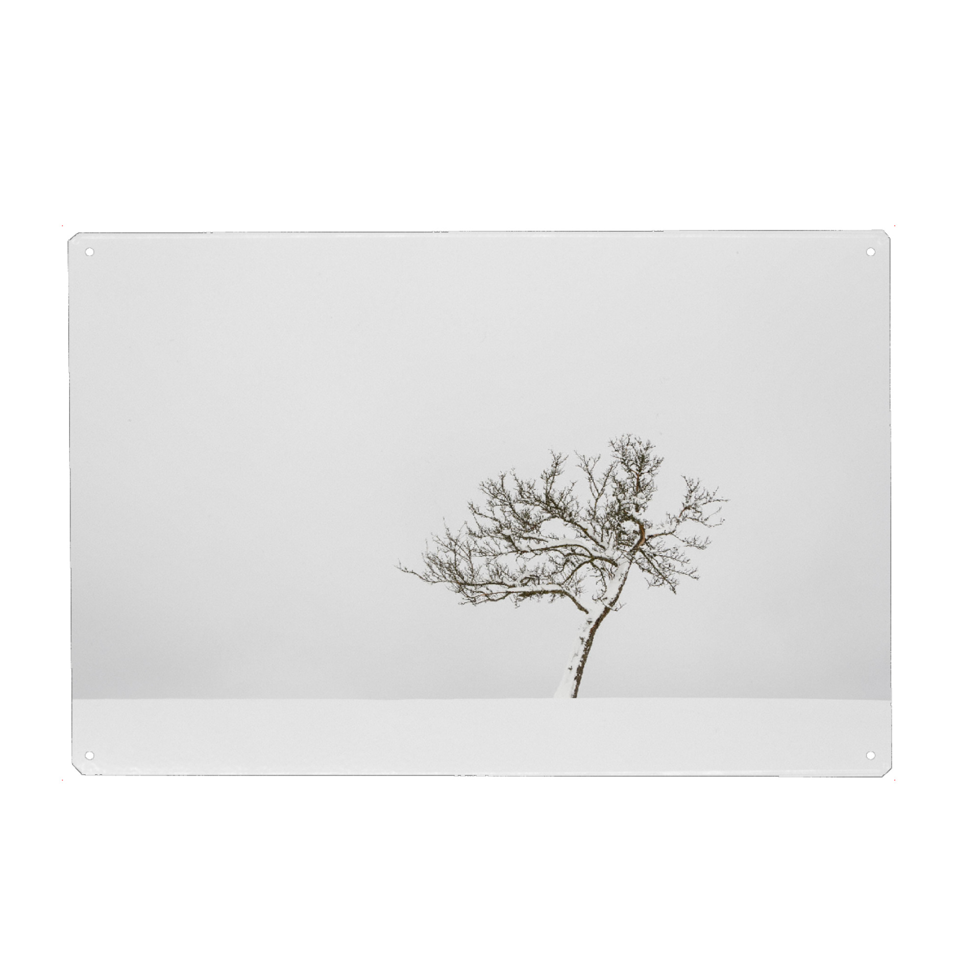 Holzbild "Winterbaum" artboxONE - Natur,Reise - Baum,Baum,Schnee,Schnee