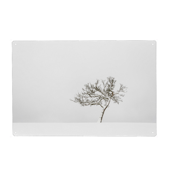 Metall Poster "Winterbaum" artboxONE - Natur,Reise - Baum,Baum,Schnee,Schnee - Blechschild