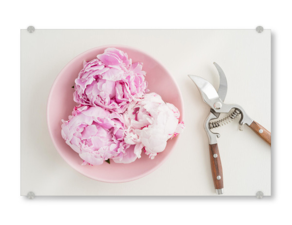 Acrylglasbild "Flower Garden III" artboxONE - Rock the kitchen,Floral,Essen & Trinken - Blumen,Flower,Blume,Flowers,Gärtner,Garten