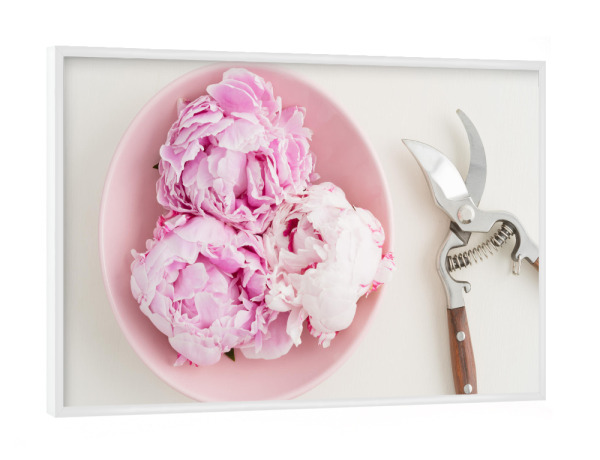 Poster mit weißem Rahmen "Flower Garden III" artboxONE - Rock the kitchen,Floral,Essen & Trinken - Blumen,Flower,Blume,Flowers,Gärtner,Garten