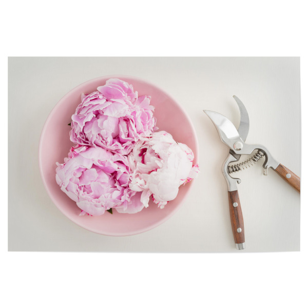 Poster "Flower Garden III" artboxONE - Rock the kitchen,Floral,Essen & Trinken - Blumen,Flower,Blume,Flowers,Gärtner,Garten