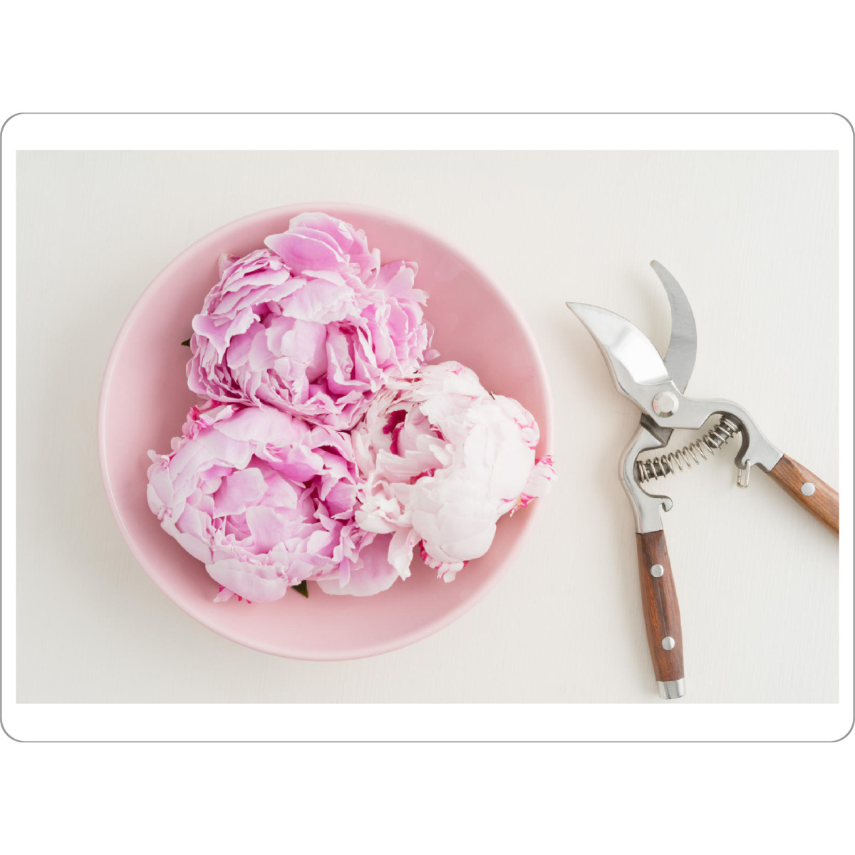 Tischset "Flower Garden III" artboxONE - Rock the kitchen,Floral,Essen & Trinken - Blumen,Flower,Blume,Flowers,Gärtner,Garten - Bild Blumen