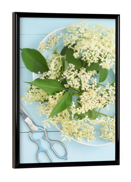 Poster mit schwarzem Rahmen "Elder Garden" artboxONE - Rock the kitchen,Floral,Essen & Trinken,Pastell - Blumen,Blume,Blume,Blumen,Gärtner,Garten