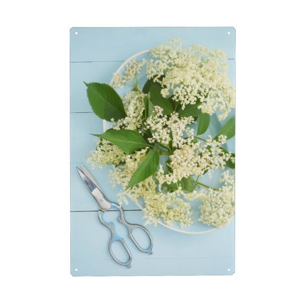 Metall Poster "Elder Garden" artboxONE - Rock the kitchen,Floral,Essen & Trinken,Pastell - Blumen,Blume,Blume,Blumen,Gärtner,Garten - Blechschild