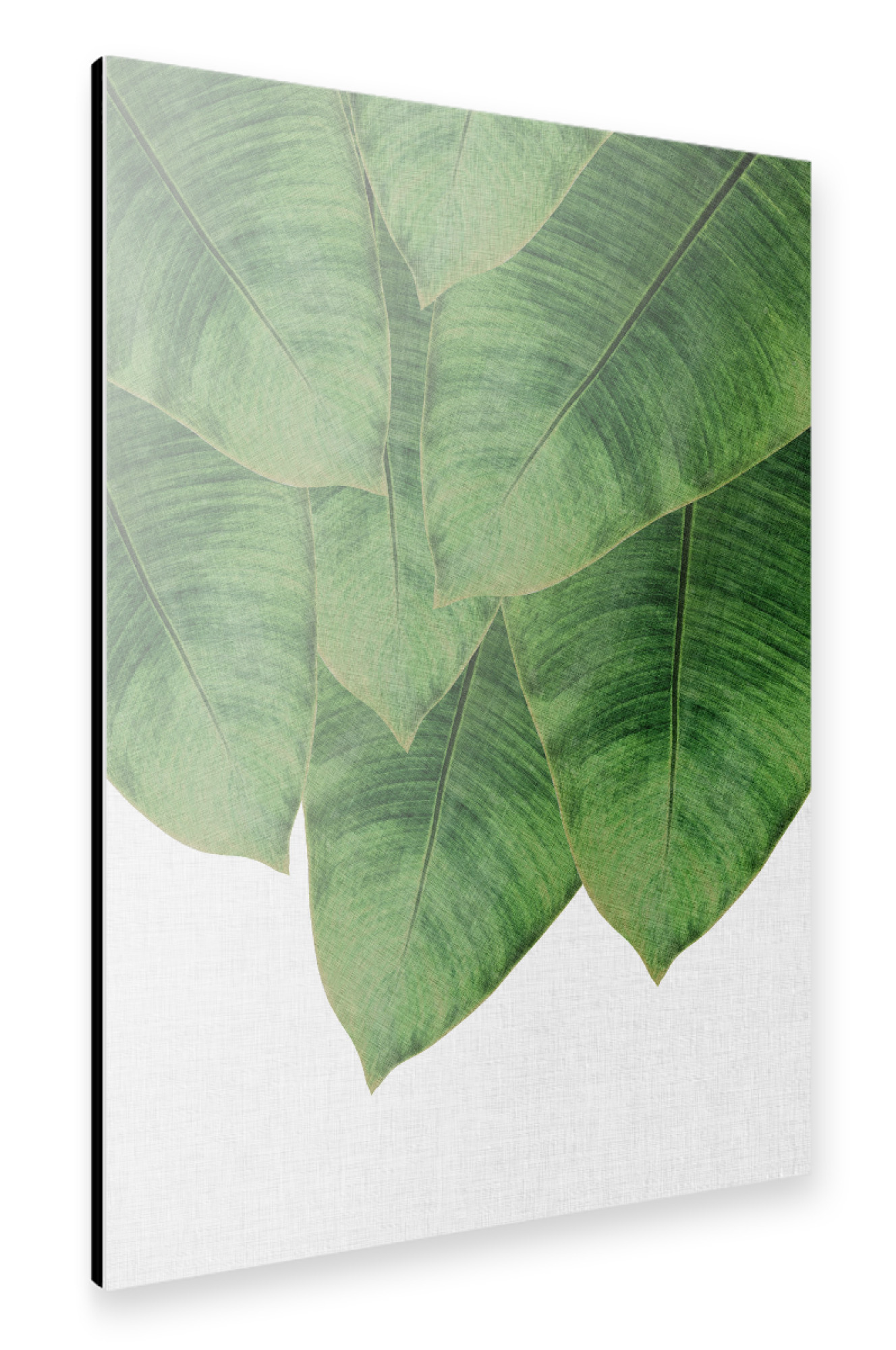 Alu-Dibond "Palm Leaves 2" 30x20 cm artboxONE