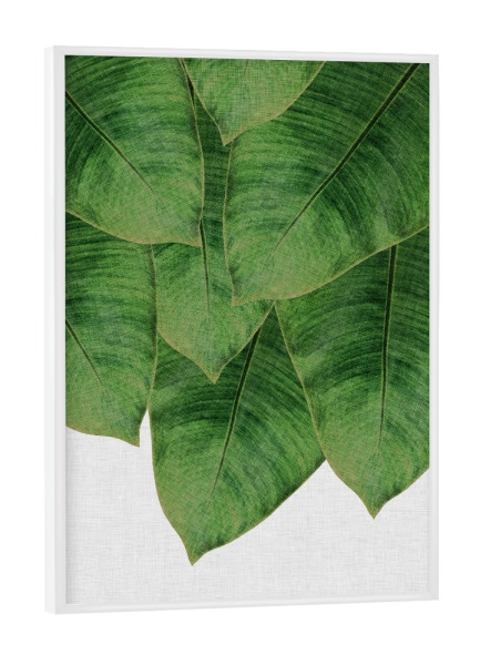 Poster mit weißem Rahmen "Palm Leaves 2" artboxONE - Natur,Floral