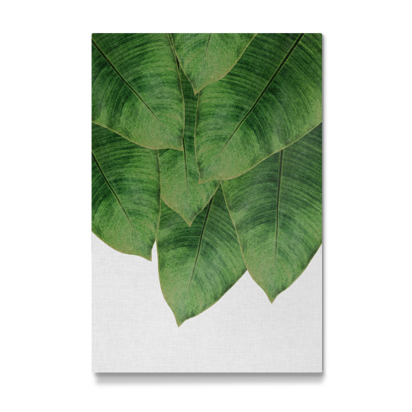 Galerie-Print "Palm Leaves 2" 30x20 cm artboxONE
