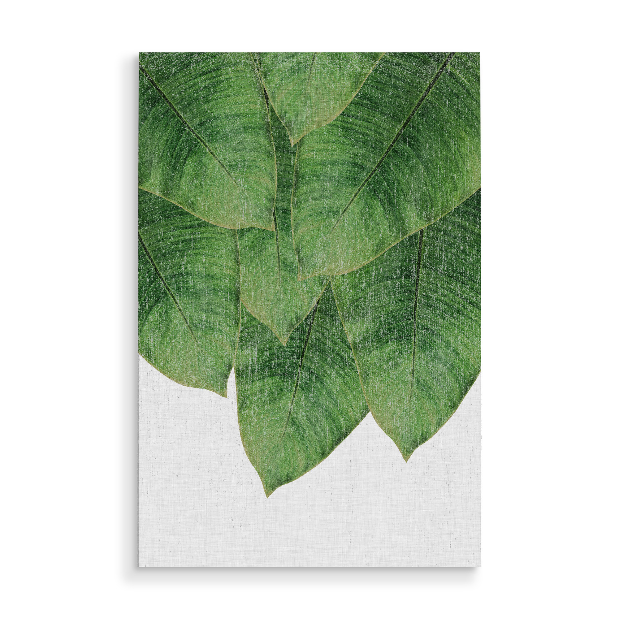 Holzbild "Palm Leaves 2" artboxONE - Natur,Floral