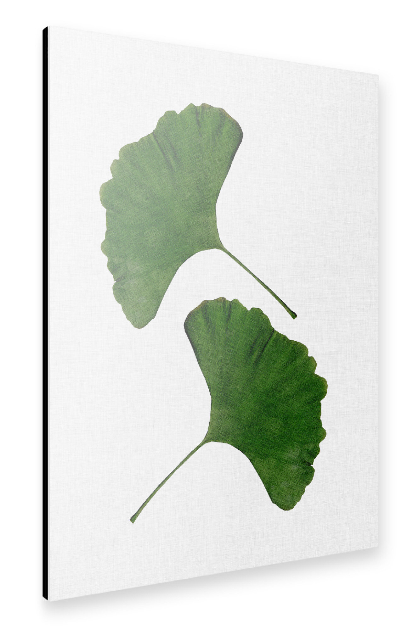 Alu-Dibond "Ginkgo Twins" 30x20 cm artboxONE