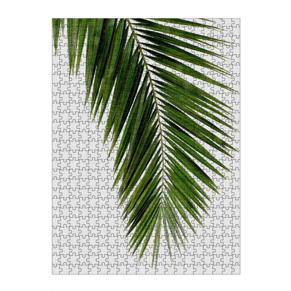 artboxONE Puzzle "Cohune Palm" artboxONE - Natur,Floral - Cohune,Palmenblatt - Bild cohune