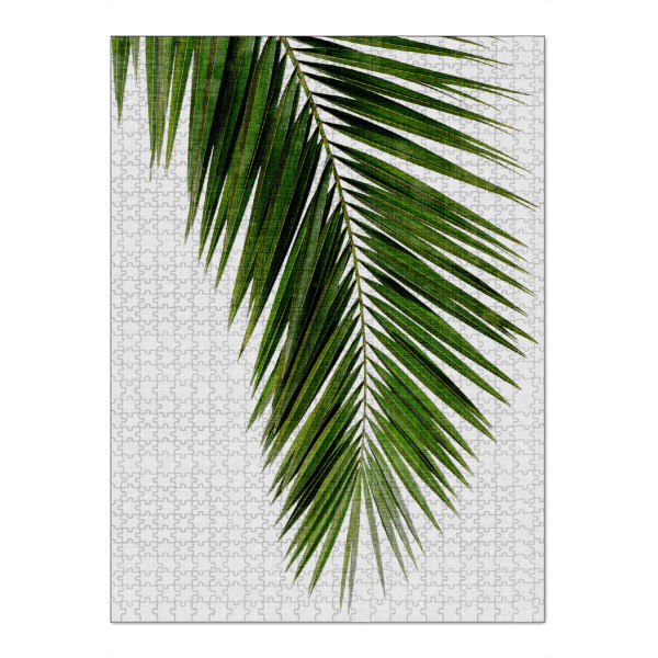 Puzzle Ravensburger "Cohune Palm" artboxONE - Natur,Floral - Cohune,Palmenblatt - Bild cohune
