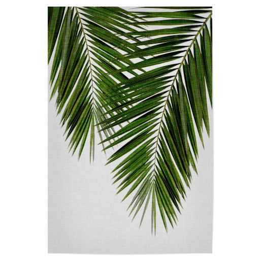 Cohune Palm green