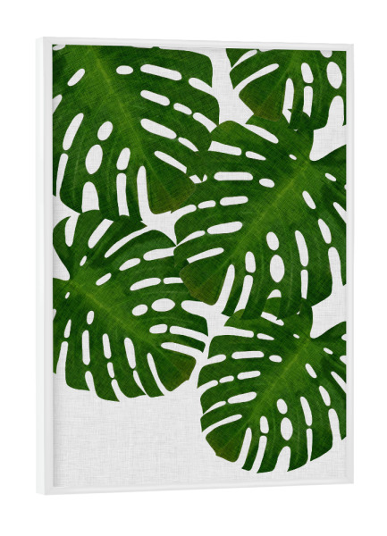 Poster mit weißem Rahmen "Monstera Palm" artboxONE - Natur,Floral