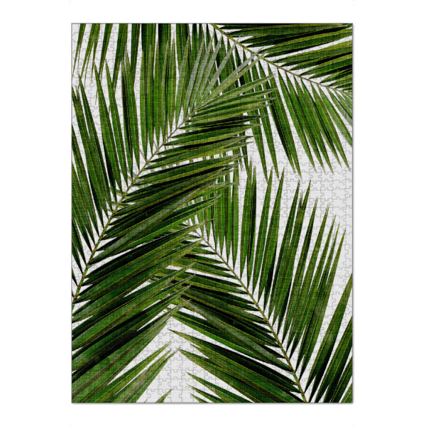 Puzzle Ravensburger "Cohune Palm plant" artboxONE - Natur,Reise,Floral