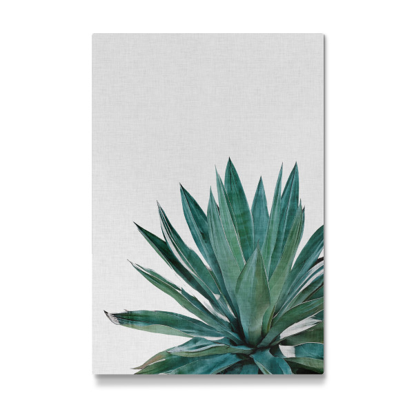 Galerie-Print "Ginkgo Palm" 30x20 cm artboxONE