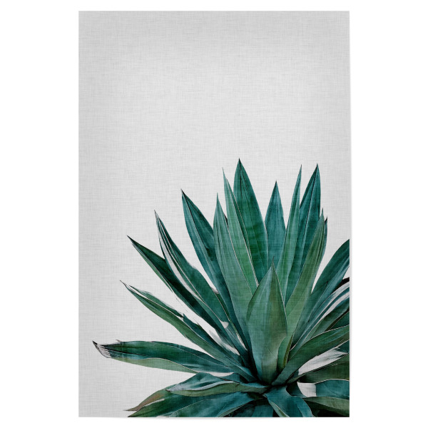 Poster 30x20 cm "Ginkgo Palm" artboxONE - Natur,Floral