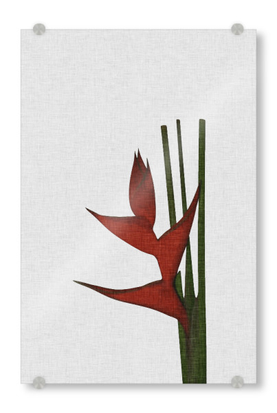 Acrylglasbild "Tropical Blossom I" artboxONE - Natur,Floral