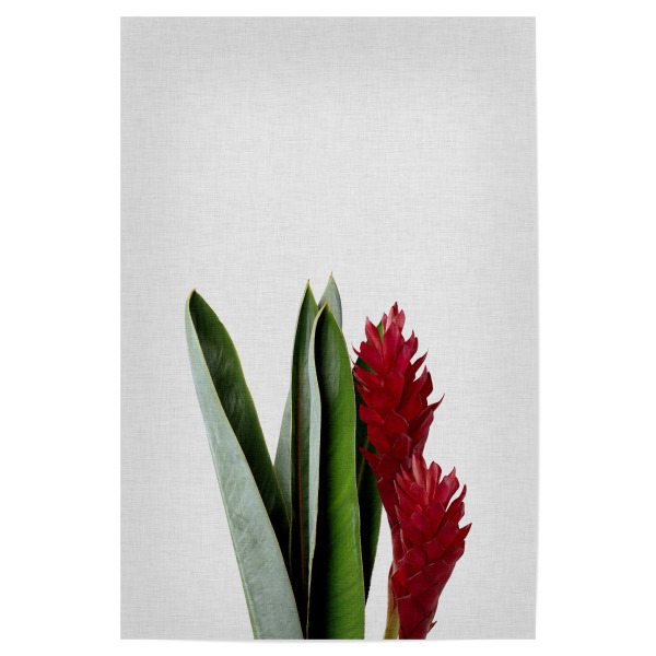 Poster 30x20 cm "Tropical Blossom II" artboxONE - Natur,Floral