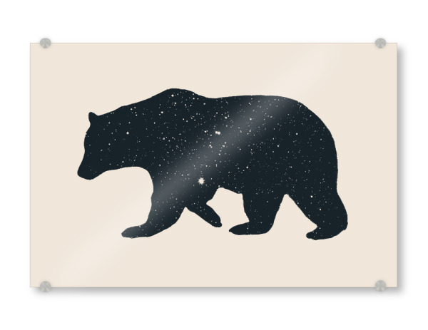 Acrylglasbild "Bär" artboxONE - Tiere,Schwarzweiß,Illustration - Bär,Sterne himmel,Silhouette