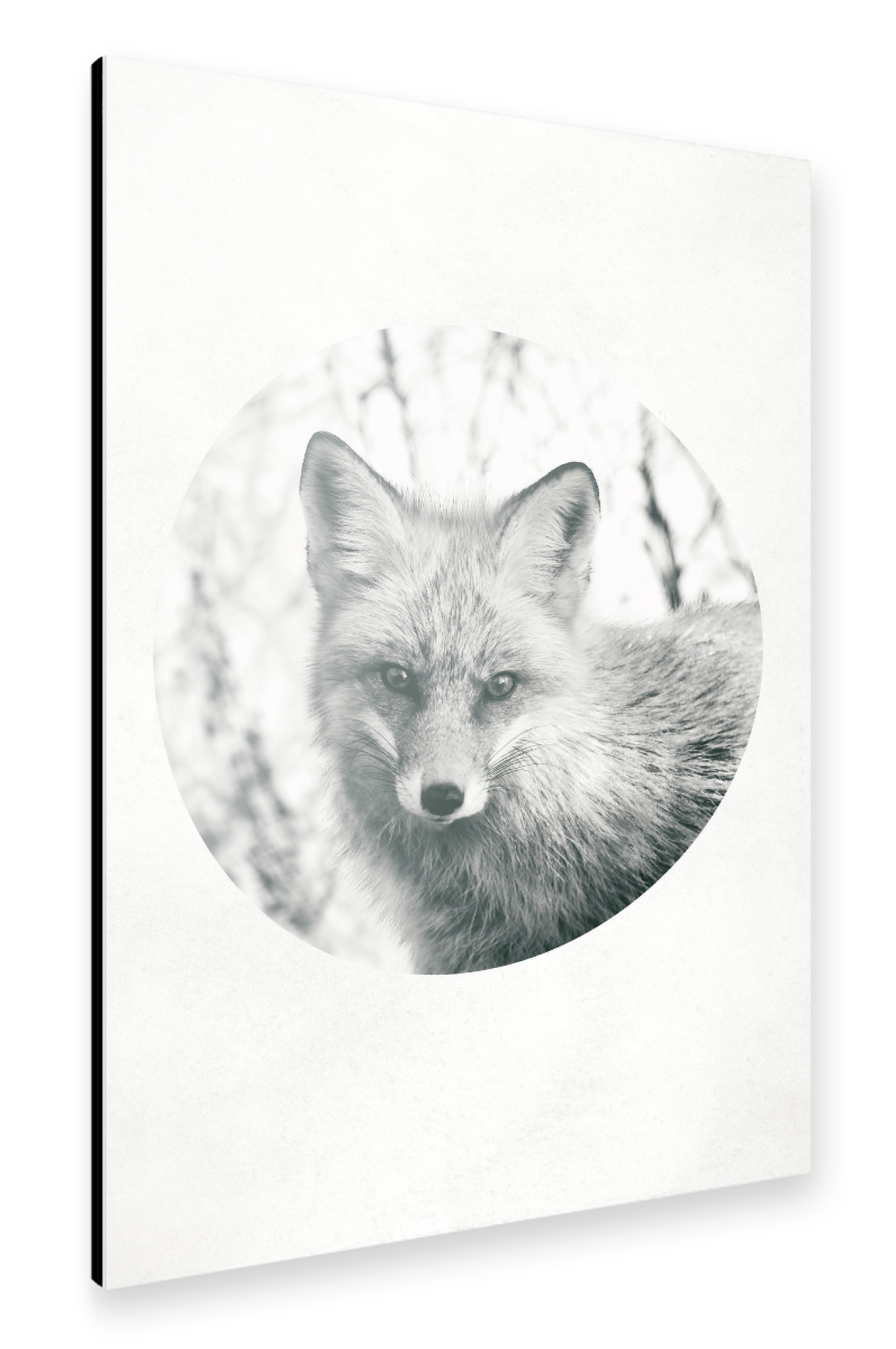 Alu-Dibond "Hello Fox" 75x50 cm artboxONE