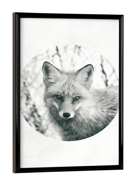 Poster mit schwarzem Rahmen "Hello Fox" artboxONE - Tiere,Schwarzweiß,Geometrie - Bear,Bär,Tier,Animal
