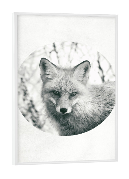 Poster mit weißem Rahmen "Hello Fox" artboxONE - Tiere,Schwarzweiß,Geometrie - Bear,Bär,Tier,Animal