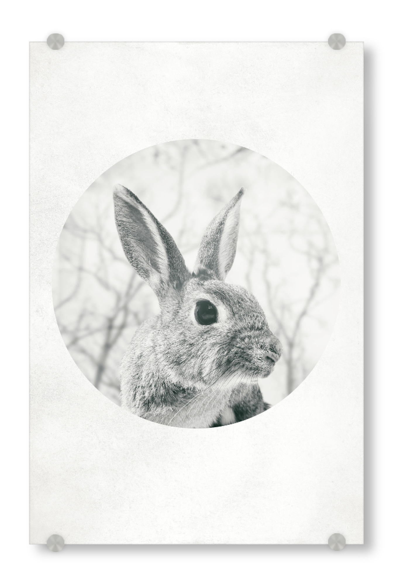 Acrylglasbild "Hello Rabbit" artboxONE - Natur,Geometrie - Berg,Berg,Schnee,Schnee,Natur,Natur