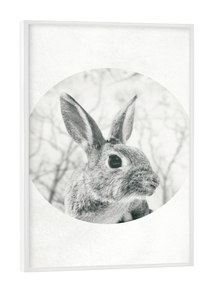 Poster mit weißem Rahmen "Hello Rabbit" artboxONE - Natur,Geometrie - Berg,Berg,Schnee,Schnee,Natur,Natur