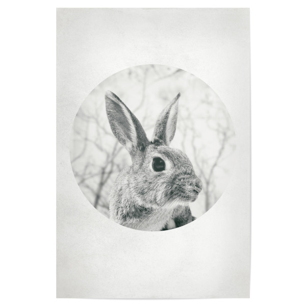 Poster "Hello Rabbit" artboxONE - Natur,Geometrie - Berg,Berg,Schnee,Schnee,Natur,Natur