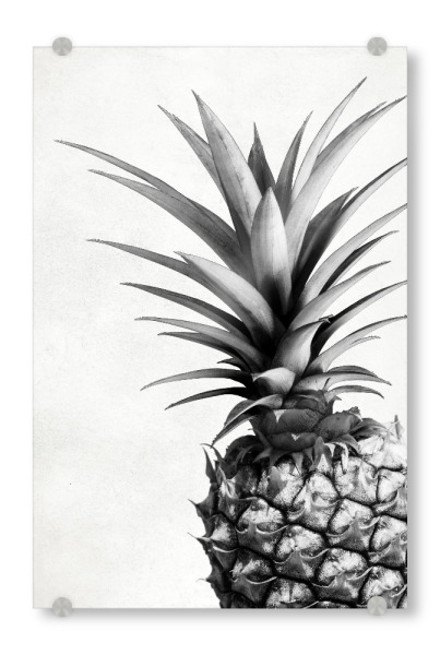 Acrylglasbild "Ananas Selfie" artboxONE - Essen & Trinken,Schwarzweiß,Geometrie