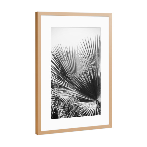 Poster mit Rahmen Kupfer "Palms 2" artboxONE - Floral,Schwarzweiß,Sommer - Palme,Palme,Pflanze,Pflanze,Tropisch,Tropisch