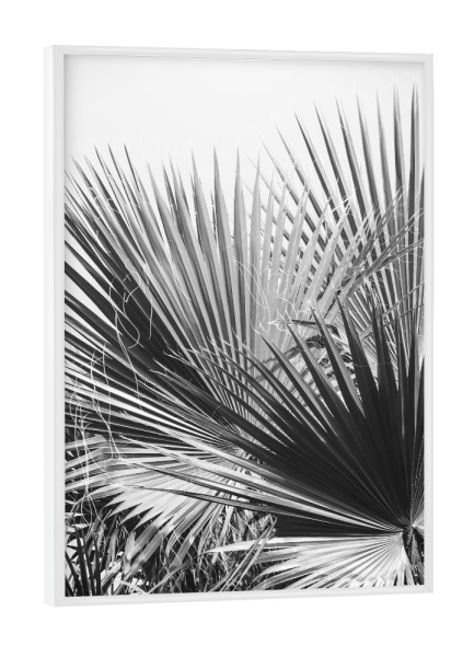 Poster mit weißem Rahmen "Palms 2" artboxONE - Floral,Schwarzweiß,Sommer - Palme,Palme,Pflanze,Pflanze,Tropisch,Tropisch