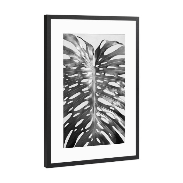 Poster mit Rahmen Schwarz (Metallic) "Palm Leave I" artboxONE - Floral,Schwarzweiß - Palme,Palm,Pflanze,Plant,Tropical,Tropisch