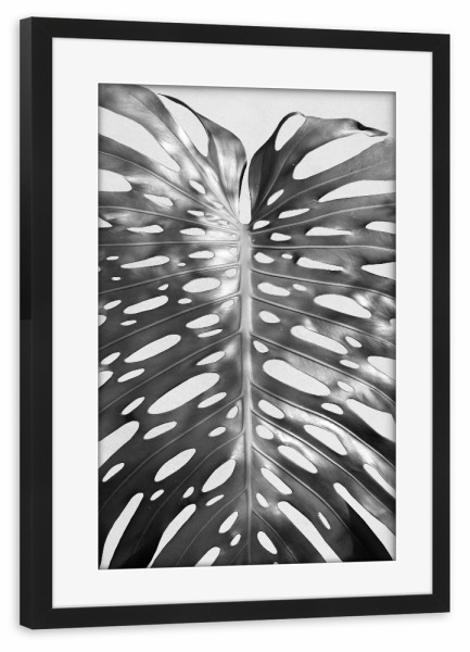 Poster mit Rahmen schwarz "Palm Leave I" artboxONE - Floral,Schwarzweiß - Palme,Palm,Pflanze,Plant,Tropical,Tropisch