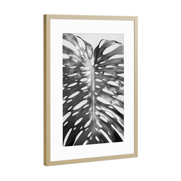 Poster mit Rahmen Gold "Palm Leave I" artboxONE - Floral,Schwarzweiß - Palme,Palm,Pflanze,Plant,Tropical,Tropisch
