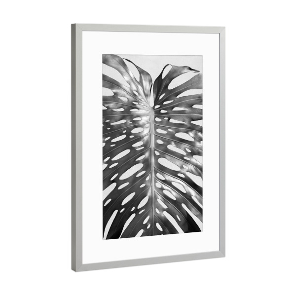 Poster mit Rahmen Silber "Palm Leave I" artboxONE - Floral,Schwarzweiß - Palme,Palm,Pflanze,Plant,Tropical,Tropisch