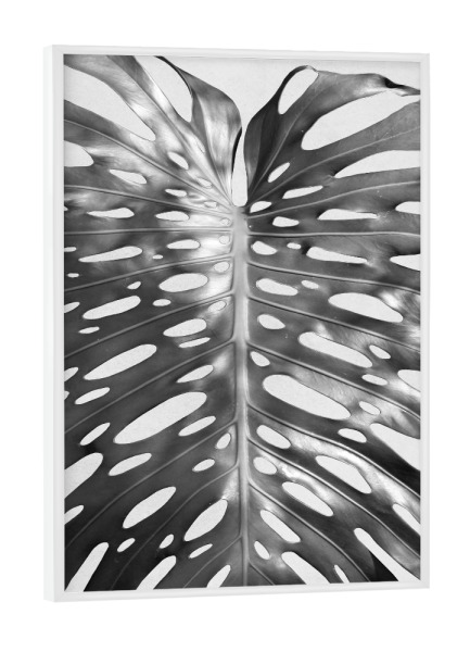 Poster mit weißem Rahmen "Palm Leave I" artboxONE - Floral,Schwarzweiß - Palme,Palm,Pflanze,Plant,Tropical,Tropisch