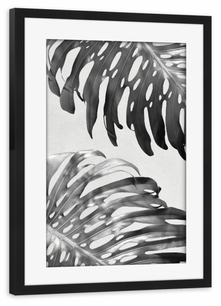 Poster mit Rahmen schwarz "Palm Leaves 3" artboxONE - Floral,Schwarzweiß,Sommer - Palme,Palm,Pflanze,Plant,Tropical,Tropisch