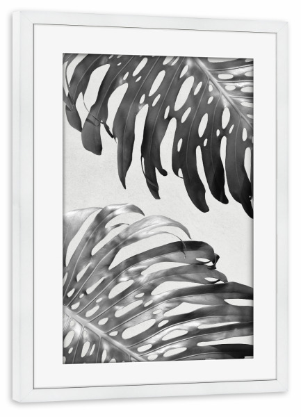 Poster mit Rahmen weiß "Palm Leaves 3" artboxONE - Floral,Schwarzweiß,Sommer - Palme,Palm,Pflanze,Plant,Tropical,Tropisch