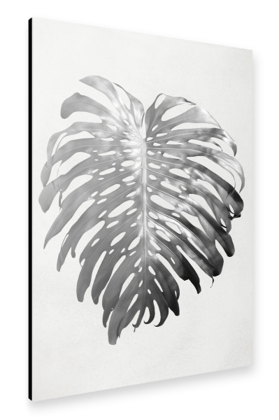 Alu-Dibond "Palm Leave II" 30x20 cm artboxONE