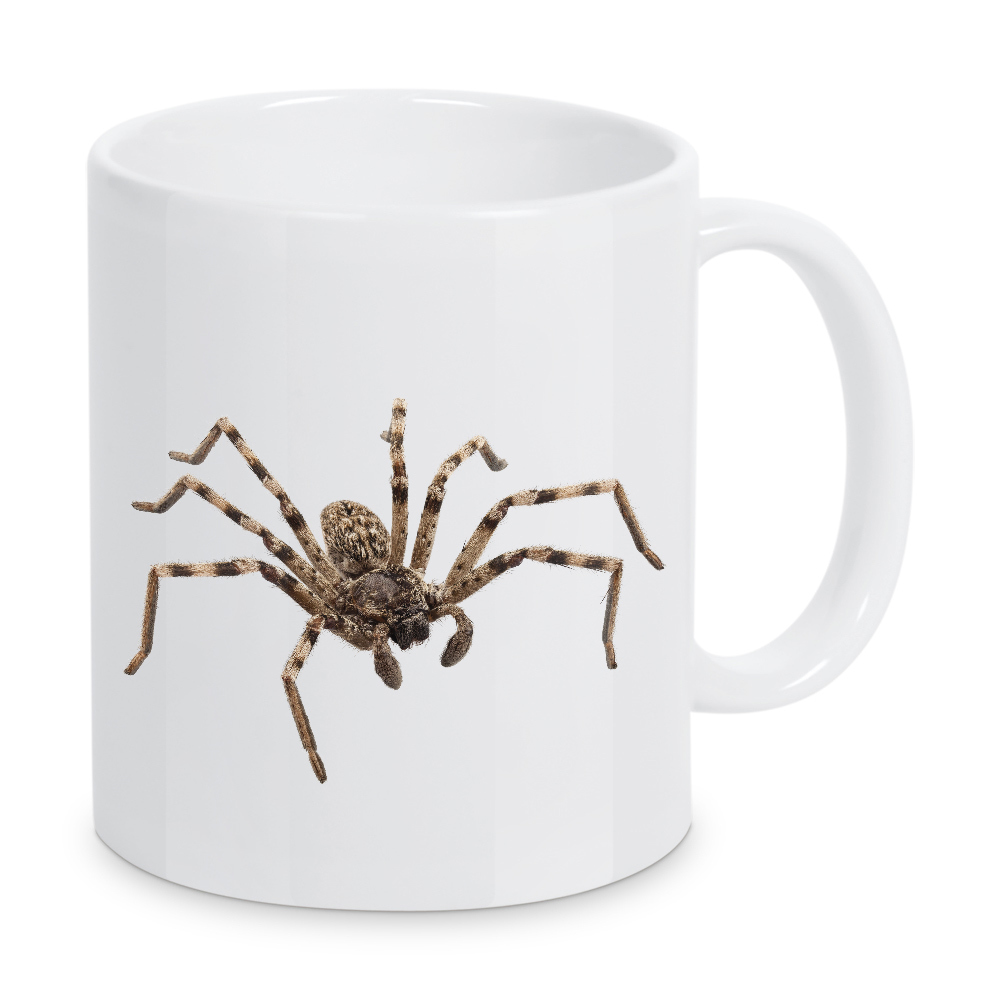 Tasse "Wolfsspinne Lycosa sp" artboxONE - Natur,Tiere - Insekt,Tiere,Hohe auflösung,Fotografie,Fliegen,Farbe,Bunt,Spinne,Natur