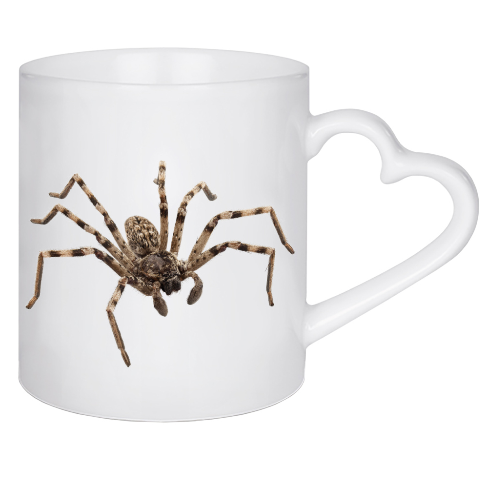 Herztasse "Wolfsspinne Lycosa sp" artboxONE - Natur,Tiere - Insekt,Tiere,Hohe auflösung,Fotografie,Fliegen,Farbe,Bunt,Spinne,Natur