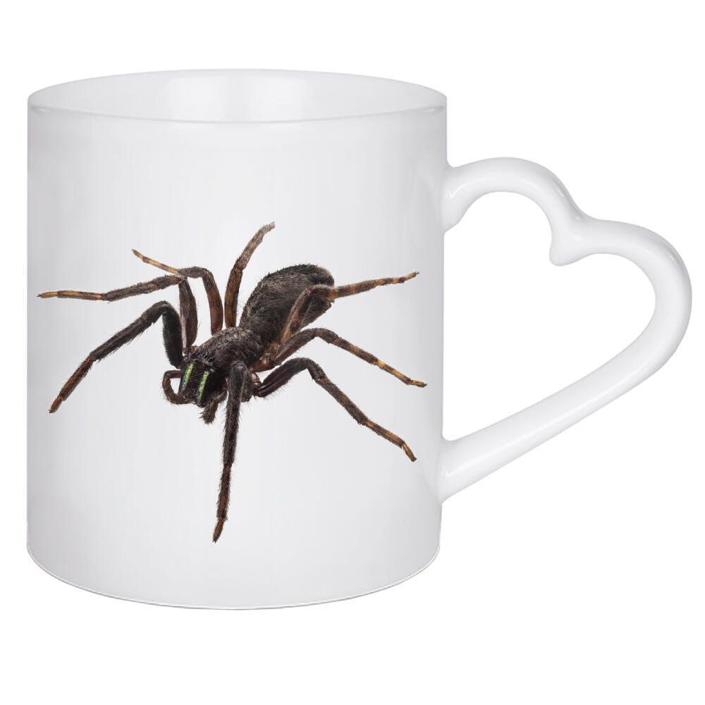 Herztasse "Tegenaria spider" artboxONE - Natur,Tiere - Insect,Animals,High resolution,Flying,Color,Colorful,Spider,Nature,Spinne,Insekt