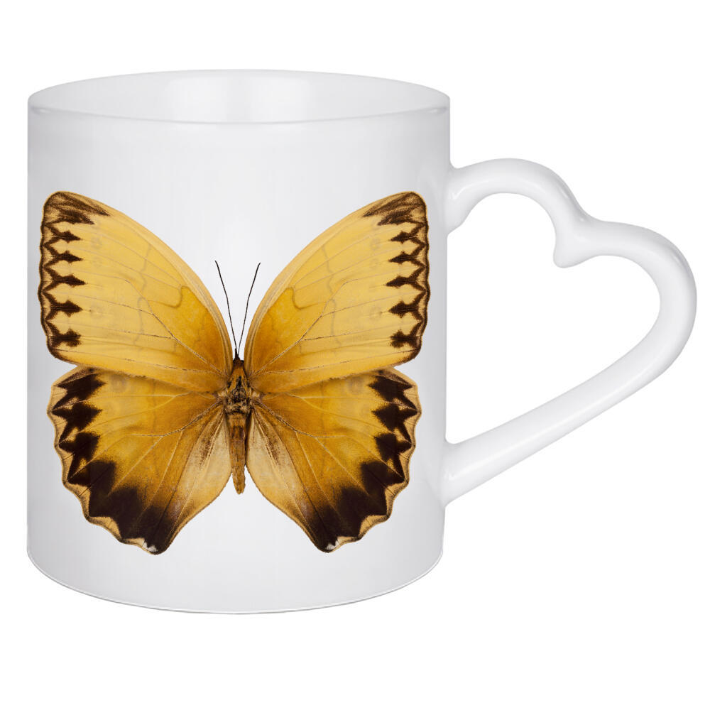Herztasse "Stichophthalma howqua suffusa" artboxONE - Natur,Tiere