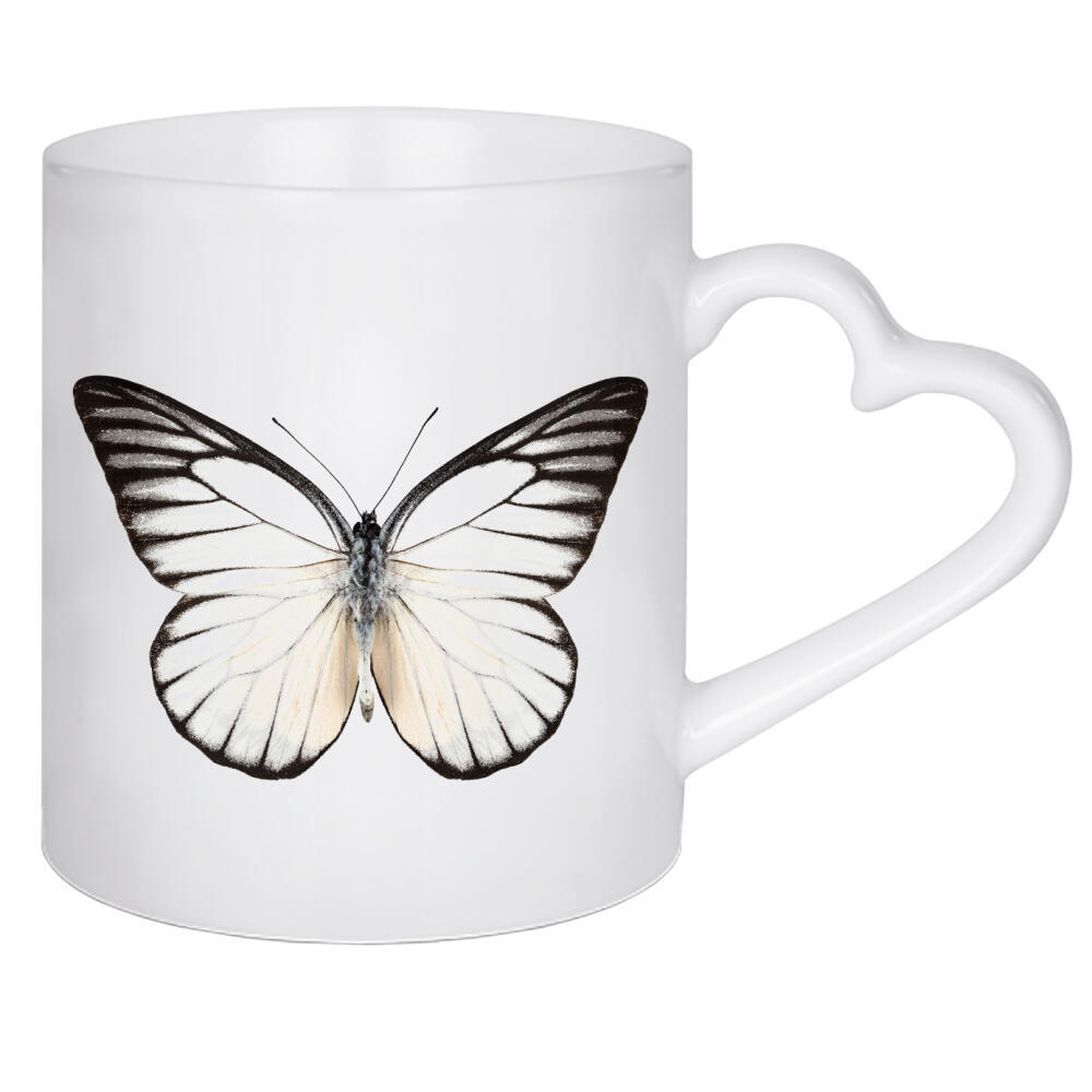 Herztasse "Prioneris philonome" artboxONE - Natur,Tiere