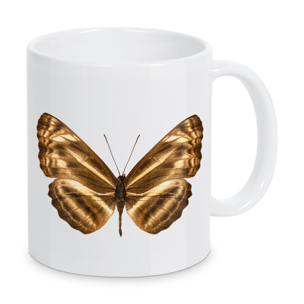 Tasse "Butterfly species Neptis omeroda" artboxONE - Natur,Tiere - Insekt,Schmetterling,Tiere,Hohe auflösung,Fotografie,Fliegen,Farbe,Bunt,Natur