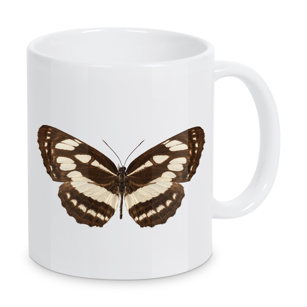 Tasse "Butterfly species Neptis hylas" artboxONE - Natur,Tiere