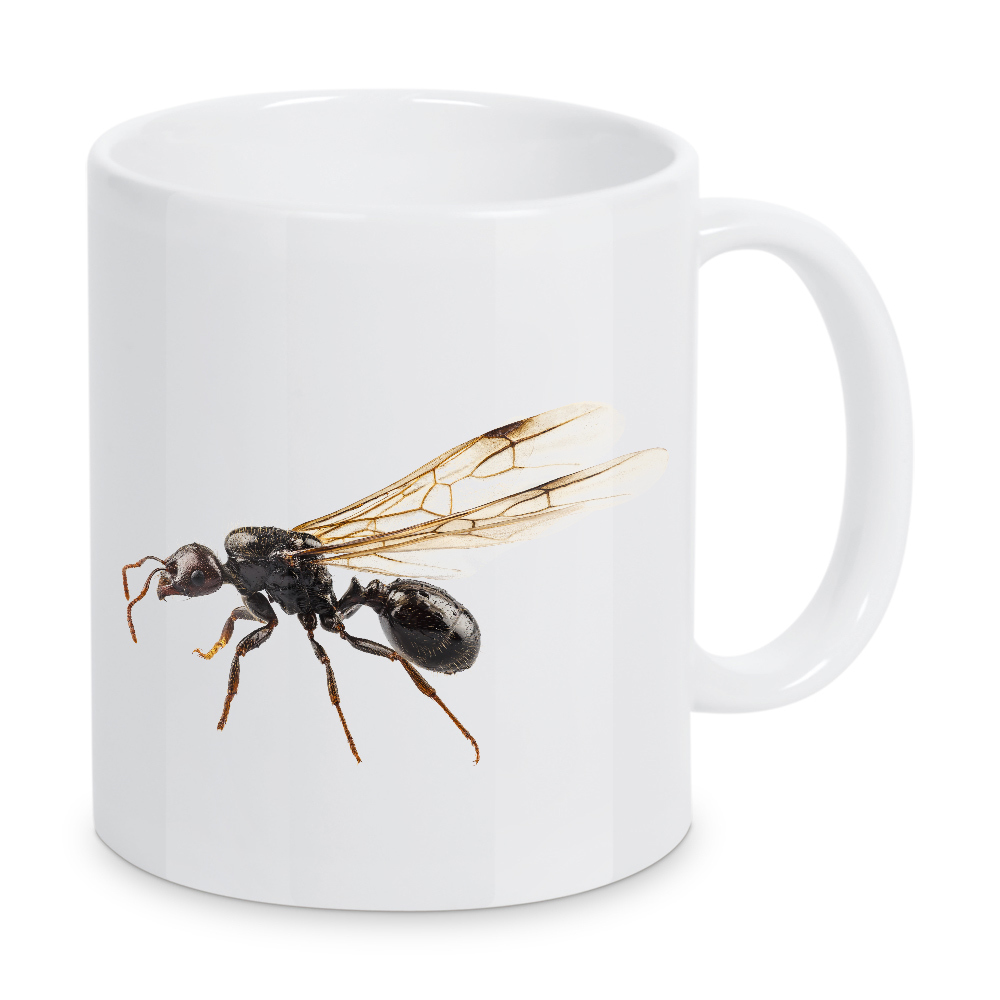Tasse "Black Winged garden ant species" artboxONE - Natur,Abstrakt