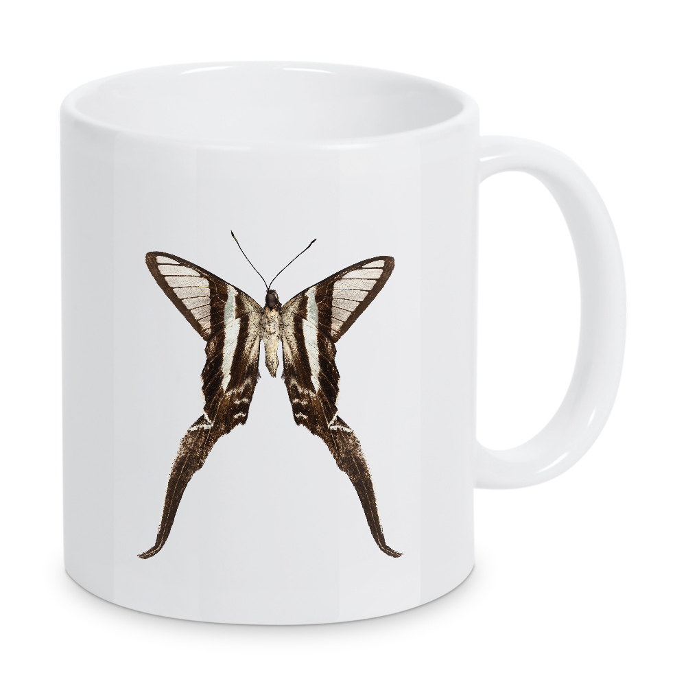 Tasse "Schmetterlingsarten Lamproptera" artboxONE - Natur,Tiere - Insekt,Schmetterling,Tiere,Hohe auflösung,Fotografie,Fliegen,Farbe,Bunt,Natur