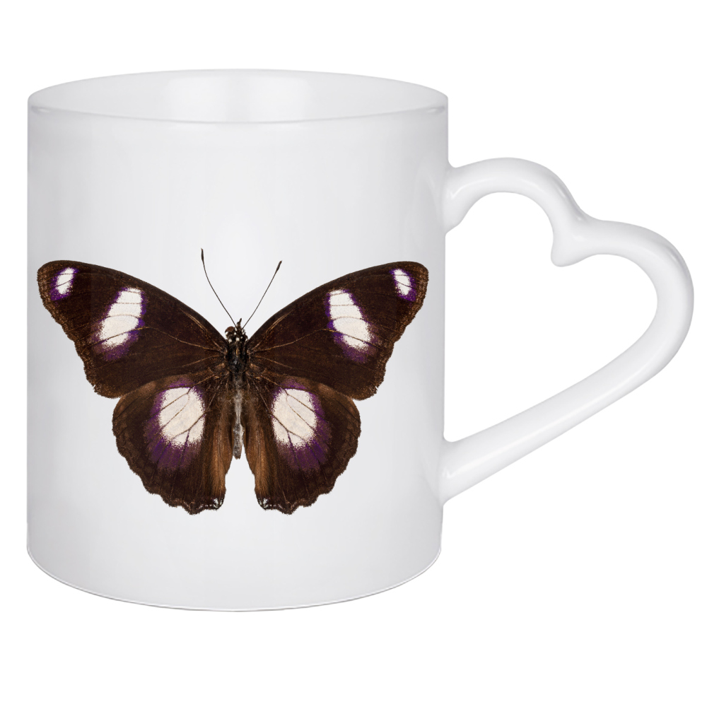 Herztasse "Butterfly species Hypolimnas" artboxONE - Natur,Tiere